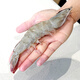 Fresh Jingcai, over one million sales, Ecuadorian white shrimp, net weight, 3Jin Jin is equal to 0.5kg/box, 28-46 pieces/box, shipped directly from the source