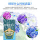 Devodo hydrangea special plant nutrient soil 15L + fertilizer gardening potted planting flower soil organic matrix rice husk soil