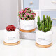 Jianshe Succulent Plant Potted Meat Office Desktop Novice Small Set Meal Green Plant Flower Cactus with Potted Diy Scenery Ten Premium Succulent Random + Long Wooden Basin + Nutritional Soil