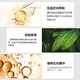 索芙特防脱育发洗发水脱发专用何首乌侧柏叶控油蓬松洗头膏 端午节礼物
