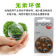峰力（PHONAK）助听器专用电池e312/675进口纽扣电子用品通用耳蜗配件洗耳器 A10大容量白卡10板60粒