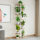 WORM Home Flower Rack Sakagi Einfache Mode mehrschichtige Blumenregal Innenbalkon Dekoration Rack Schmelztes Wohnzimmer Blumenregal Sukkulente Blumenregal [Blumenregal H719] Schwarze Garnierstruktur Klammer + schwarze Eiche