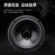 飞利浦（PHILIPS）家庭ktv音响套装 家庭影院 家用卡拉OK 音响套装专业组合功放音箱