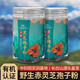 
Changbai Mountain Xianzhi Valley Break Wall Ganoderma lucidum Spore Powder Organic Oak Red Linzhi Robe Powder Non-wild Spore Oil 250g*2 cans 500g (2 cans) + 50g for experience pack