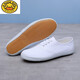 G.duck white sneakers, student canvas shoes, children's white shoes, school gymnastics dance shoes, sports meet performance soft-soled white mesh shoes, pure white, lace-up, size 36, 23cm inside