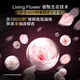 
Qingyang (CLEAR) anti-dandruff shampoo, cherry blossom fragrance 205g, lasting fragrance