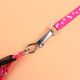 Tiannuo Pet Products Cat and Dog Leash Teddy Pomeranian Small Dog Cat Dog Rope Puppy Dog Walking Rope Dog Chain Strap Random Color Small Rope Width 1cm (2-6Jin Jin is equal to 0.5kg)