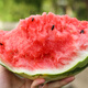 Shouhe watermelon seed seedlings Kirin 8424 thin-skinned large melon super sweet fruit seeds Weifeng Crunchy 8424 seeds 40 capsules
