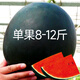 Beishu Black Watermelon Seeds Red Heart Fruit Yuqilin Black Watermelon Seeds 10 capsules