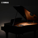 Yamaha (Yamaha) importierte High-End-vertikale CLP625/635/88 Key Hammer Hammer Adult Hammer Children Professional Grade Home Appano CLP-695GP (Schwarz)