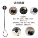 Suican pet grooming sling, lanyard, suction cup, grooming table, wire sling, dog shaving and bathing, fixed, anti-falling rope, suction cup wire model, recommended 30 Jin Jin equal to 0.5 kg, 1 beauty sling