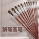 
Wolf hair gouache brush round head oil brush flat head set acrylic watercolor gouache art student 6 pieces [13579 11] line pen box