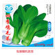全新鸡毛菜种子 四季播种抗热耐寒蔬菜种子小白菜籽小青菜籽 鸡毛菜种子-四季新品种发芽率90% 原装1包约1098粒【划算】