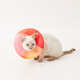 Xiaopei pet Elizabeth collar cat anti-licking headgear cute shame collar shame sterilization collar light pink M (head circumference 12-29cm)