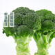 Shuangdacai plateau broccoli about 400g