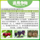 Cuiya 50% monocyanamide sleep-breaking agent grape cherry kiwi fruit tree germination accelerating pesticide plant growth regulator 1000ml