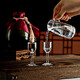 Katav white wine glass dispenser set lead-free crystal glass with graduated wine glass bullet cup Maotai cup spirit glass 10 pots 100ml + 10 goblets 10ml