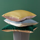 Jinsan Tower Fashion Contrast Pillow Case de almohada Single Pack CSZT025 Gema Verde + Beige 9930 Unicode