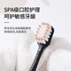 OralGos British adult soft bristle toothbrush for men and women students and couples household soft gum protection filaments to clean the mouth [1 box] Soft bristle toothbrush 2