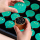 Banshan Farm Wild Black Wolfberry Extra-large fruit-grade [Window gift box A] Practical gifts for the elderly and elders and parents during the festival