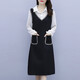 Shanidoluo large size women's dress spring new style fat mm temperament plus obese people look slimming style waist-covering skirt 16759 16753-Black 2XL Recommended 130-150Jin [Jin equals 0.5 kg] to wear