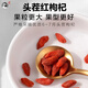 Ganlong people, Lycium barbarum, Ningxia authentic and special grade wolfberry, soaked in water, sulfur-free organic first stubble red wolfberry, no washing tea specialty [Special grade] Ningxia wolfberry 500g [about 340 pills/50g]