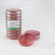 Bile Sulfur Milk Agar Plate (DHL) Enterobacteriaceae Selective Medium Sterile Vacuum Packaging 10 dishes/pack 10 dishes/pack 2 packs