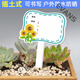 Xushansi Kindergarten Simulation Pot Brand Gardening Simulation Flower Pot Simulation Label Signage Succulent Conservation Brand DIY Handmade YHCD-28 10x16cm