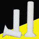 Tornillo plano resistente a la corrosión XMSJPP M6-M10 Crossunk Condado ácido aislante-alcali-alcali pp perno de tornillo M5*12200 piezas