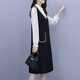 Shanidoluo large size women's dress spring new style fat mm temperament plus obese people look slimming style waist-covering skirt 16759 16753-Black 2XL Recommended 130-150Jin [Jin equals 0.5 kg] to wear