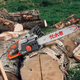 Logger WOOD MAN Backbone Logger Electric Chain Saw Household Firewood Chainsaw High Power Plug-in Logger Saw New Electric Chain Saw Original Chain 1 + Original Guide 1 16-inch Logger 405 Electric Chain Saw-2200W