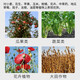 28 table high brassinolide plant growth regulator rooting and seedling foliar fertilizer vegetable flower and fruit preserving pesticide 1000g