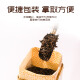 中茶 茶叶普洱茶熟茶散茶 Y671铁罐装 端午送礼 自饮口粮茶茶礼100克 *1罐【自饮推荐】