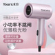 Yongri Portable Sèche-cheveux à haute puissance pour séchoir de cheveux de dortoir à la maison Haule Température constante Sécheur de cheveux Yongri 6629 1800W