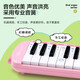 Jiaderui Organ beginners, junior high school students, middle school students, primary school students, professional playing blowing instruments, 37 key black-canvas soft bag] two sets of blowing tube groups
