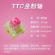 TTC金粉轴V2 月白轴机械轴体按键开关 按压稳 顺滑 力度轻 键盘轴 TTC赤瞳轴二代 2颗