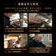 SEYDEL德国进口SEYDEL赛德 十孔10蓝调成人口琴 1847 CLASSIC 10孔LE调
