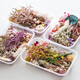DIY mixed flower box mixed dried flower material package handmade material package home decoration real flowers air-dried natural purple wind flower material dried flower package