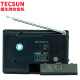 Tecsun R-202T radio audio pocket portable elderly small semiconductor TV audio college entrance examination English listening level 4 and 6 FM FM