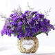 AIMAN Yunnan Flowers Dried Flower Bouquet Forget-Me-Not Lover Grass Combination Starry Living Room Real Flowers Flower Arrangement Home Furnishings Purple + Grass Includes Round Flower Basket