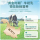 北京同仁堂免疫球蛋白益生菌粉牛初乳儿童成人免疫球蛋白提高免疫力全家适用 2盒优享装18000亿