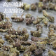 向辉 冻干三七粉 3g/袋*30袋/盒  散瘀止血消肿定痛
