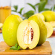Yijiu, Shaanxi Ankang Baihe Specialty, Papaya Wine 5 градусов, вино с низким содержанием алкоголя, сладкое и кислое фруктовое вино, Baihe Papaya Wine [6 градусов] 730 мл*1 дегустация бутылок.