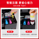 臻印彩适用佳能G2870 G3870 G3871 G3872 3831 3880 G4891打印机墨盒墨水 【GI-81红色-70ml】约6000页