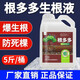 Hengkun Genduoduo rooting agent water-soluble fertilizer microbial inoculant fertilizer seedling rooting solution explosive rooting root solution powerful 1 barrel * 5 Jin Jin equals 0.5 kg with security code