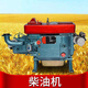 Shuokai Dieselmotor Changzhou 12 PS 15 PS 18 PS 18 PS 20 PS 22 PS 24 PS wassergekühlte Einzylinder-Dieselmotor Alle Serie ZS1105M 18 PS Elektromanterstart
