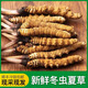 西藏头茬正品新鲜冬虫夏草2025精选高海拔鲜虫草节日送长辈送领导 1.4-1.6g规格 50根【送礼首选】