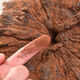 Ganjunzhuang violet ganoderma lucidum changbai montagne naturel sauvage noir ganoderma lucidum ganoderma lucidum tranches trempées dans de l'eau trempée dans la poudre de spores de vin ganoderma lucidum tranches 100g de ganoderma lucidum (envoyer wolfberry)