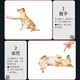 Hanhan Paradise Dog Toy Dog Training Clicker Professional Training Equipment Password Artifact Quick Dog Training Dog Training Pet Supplies