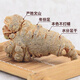 三七头三七云南文山春三七特级500g/100g田七粉可代磨粉 三七【整个】 三七20头20个【500克】